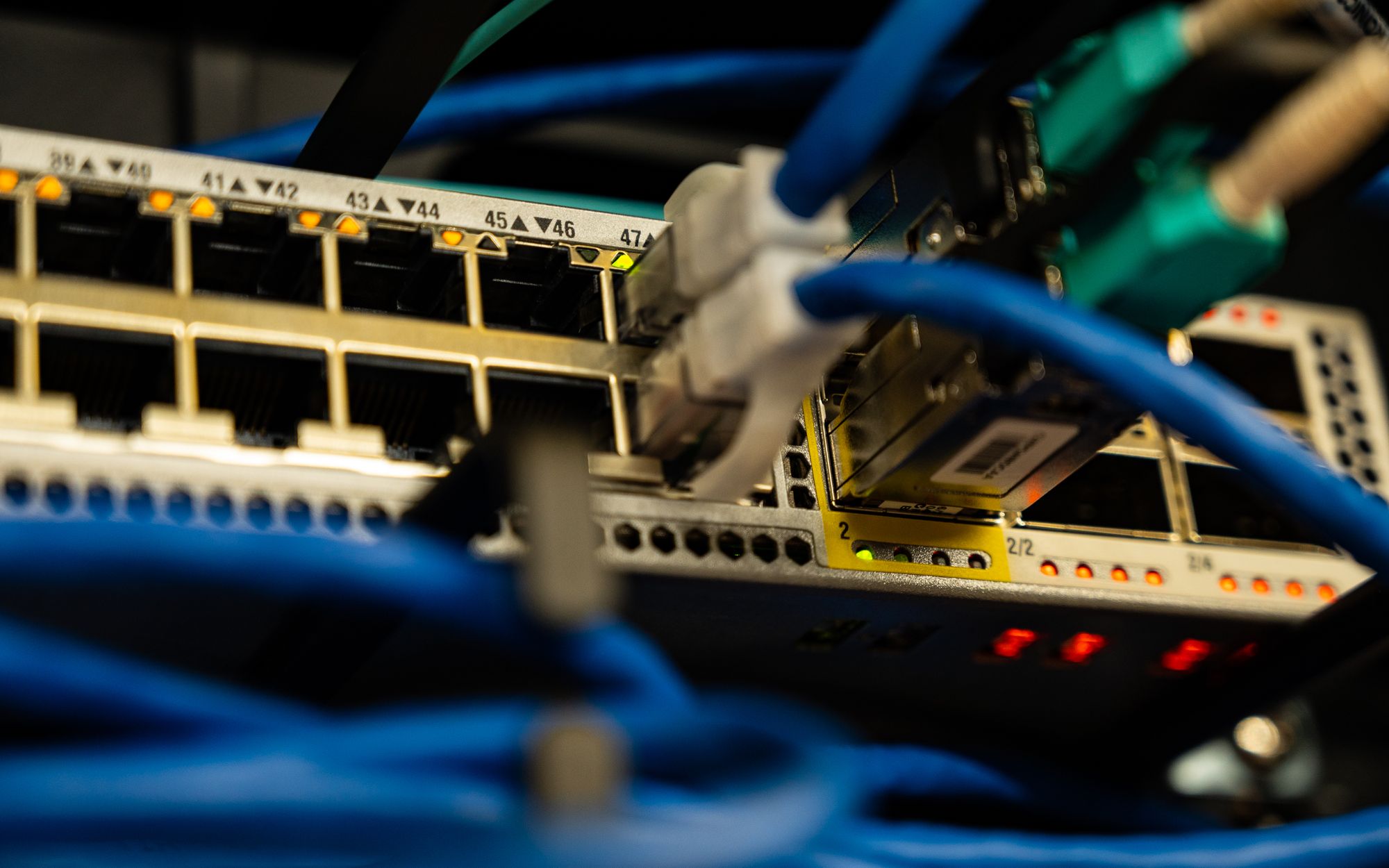 Ethernet cables connected to a business network switch